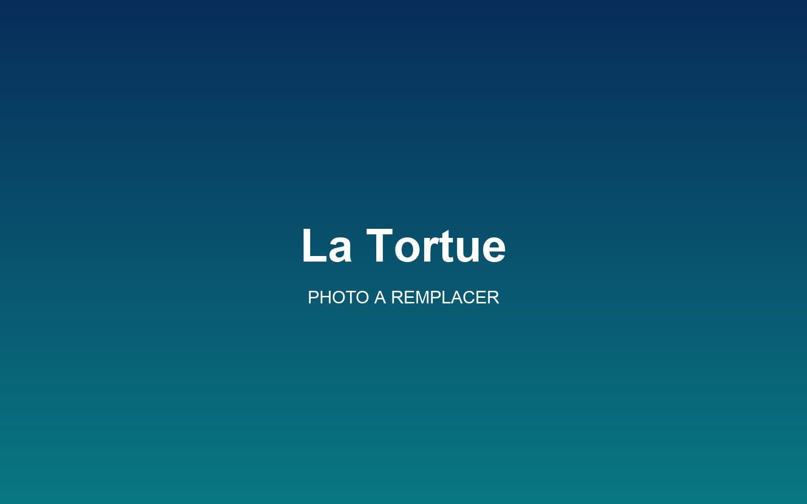 Vue du spot de surf de La Tortue, Saint-Leu, La Réunion